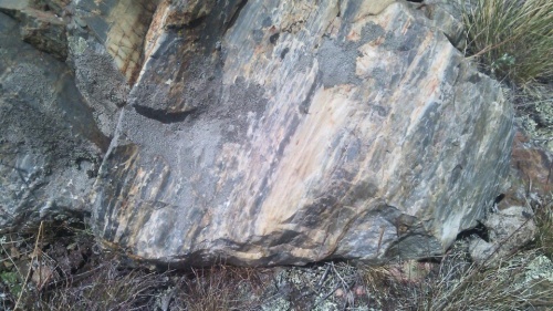 Гигантские зелёные валуны для ландшафтного дизайна весом более 5 тонн купить в Республике Тыва